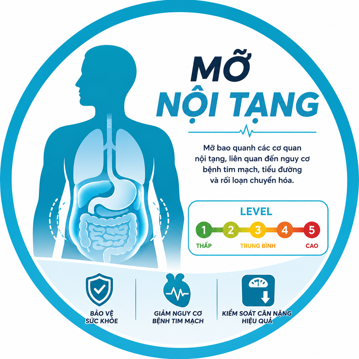 Chương Trình Giảm Cân với 6WNY