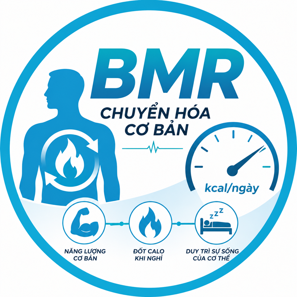 Chương Trình Giảm Cân với 6WNY