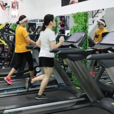 Album câu lạc bộ 2